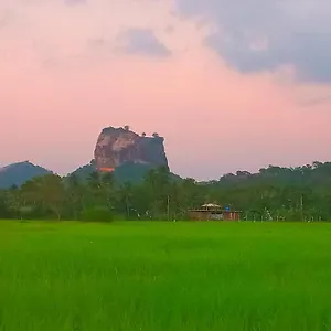  Domek letniskowy View Sri Lanka
