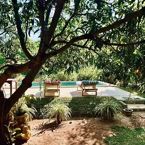  Kwatera prywatna Shan Mango Sri Lanka